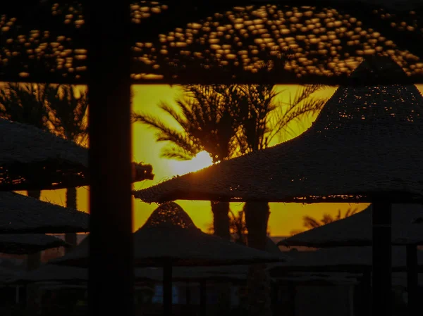 Pôr Sol Praia Entre Palmas Cogumelos Praia — Fotografia de Stock