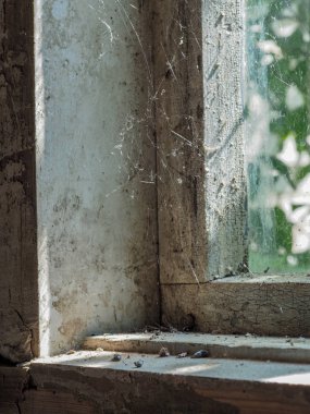 bir web ile eski ahşap pencere
