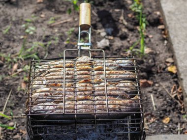 ülke yaz tatili sırasında taze greyfurt alabalık
