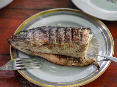 ülke yaz tatili sırasında taze greyfurt alabalık