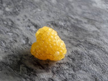 çevre dostu gri mermer arka plan ile kendi bahçesinde yetiştirilen engebeli büyük sarı ahududu sarstı