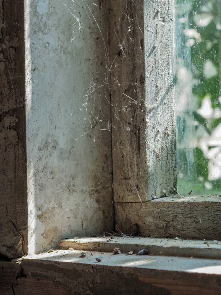 Старое Деревянное Окно Паутиной — стоковое фото