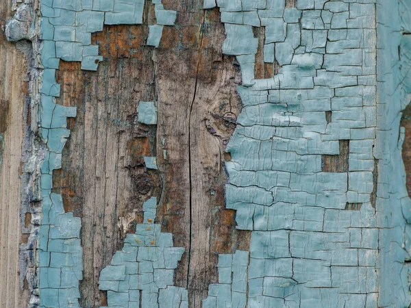 Старі Дерев Яні Двері Роздратованою Синьою Фарбою — стокове фото
