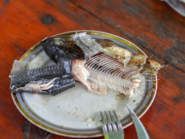 Makan Ikan Trout Panggang Selama Liburan Musim Panas Negara Ini — Stok Foto