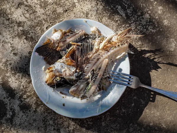 Syö Grillattua Taimenta Maan Kesäloman Aikana — kuvapankkivalokuva