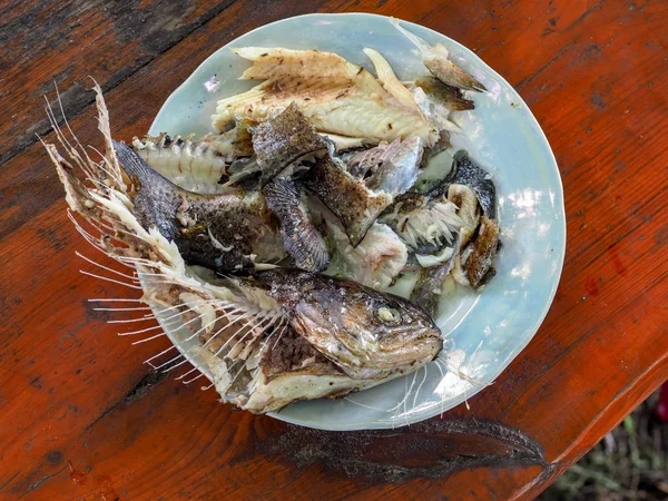 Makan Ikan Trout Panggang Selama Liburan Musim Panas Negara Ini — Stok Foto