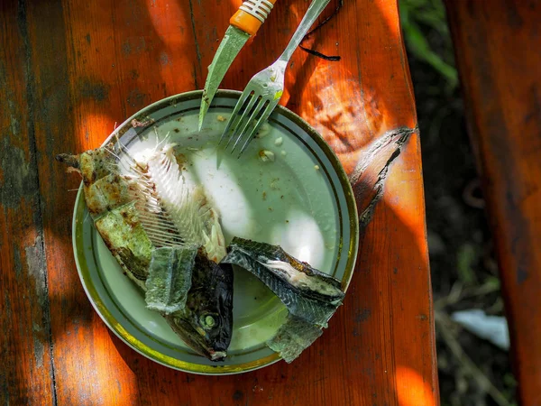 Makan Ikan Trout Panggang Selama Liburan Musim Panas Negara Ini — Stok Foto