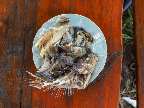 Makan Ikan Trout Panggang Selama Liburan Musim Panas Negara Ini — Stok Foto