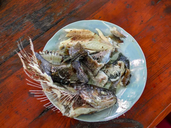 Eet Gegrilde Forel Tijdens Een Zomer Vakantie Het Land — Stockfoto