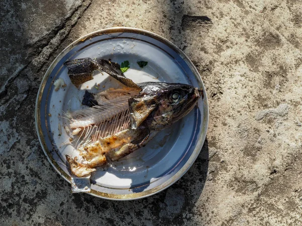 Makan Ikan Trout Panggang Selama Liburan Musim Panas Negara Ini — Stok Foto