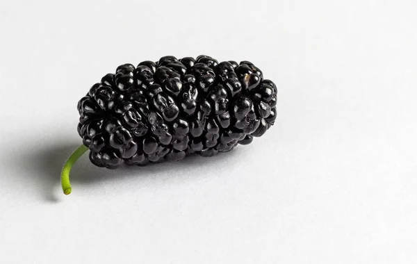 Ecologically Clean Ripped Large Berry Black Mulberry Grown Its Own — Stock Photo, Image