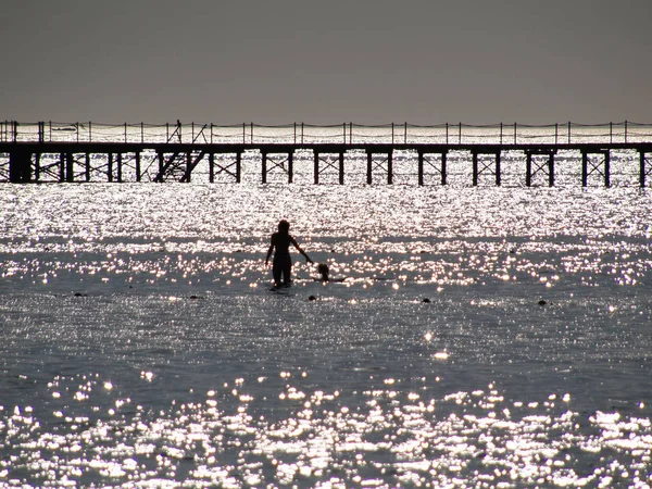 桟橋の背景に対して浅い海を歩く制御日光の赤ちゃんを持つ母親 — ストック写真