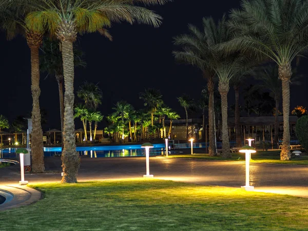 Iluminado Parque Noturno Com Palmeiras Fundo Piscina — Fotografia de Stock