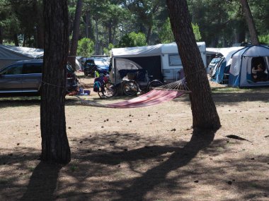 se tarafından eğimli bir çam ormanında bir turist hamakta tatil