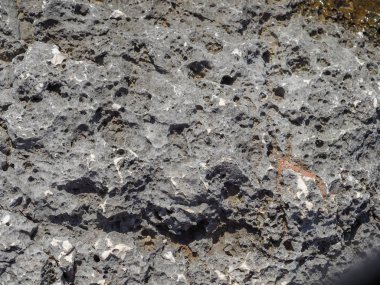 Deniz kıyısında taş dokusu