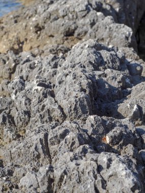 Deniz kıyısında taş dokusu