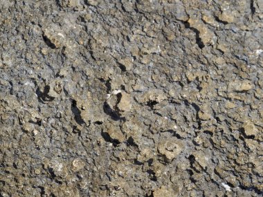 Deniz kıyısında taş dokusu