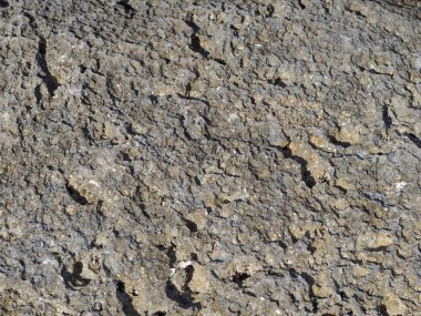 Deniz kıyısında taş dokusu