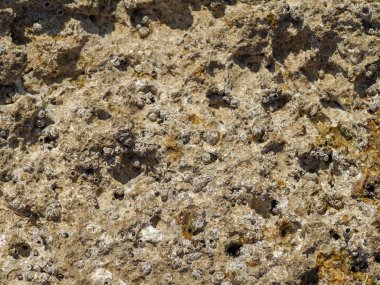 Deniz kıyısında taş dokusu