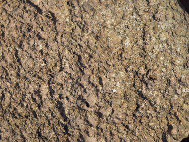 Deniz kıyısında taş dokusu