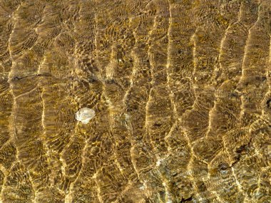 Deniz kıyısında taş dokusu