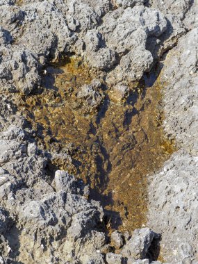 Deniz kıyısında taş dokusu