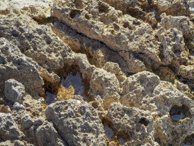 Deniz kıyısında taş dokusu