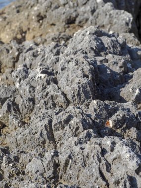 Deniz kıyısında taş dokusu