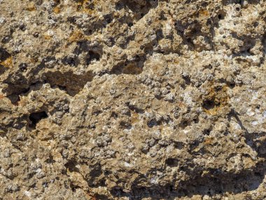 Deniz kıyısında taş dokusu