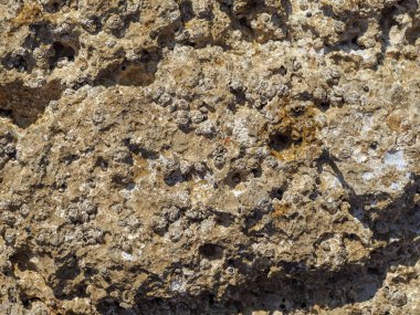 Deniz kıyısında taş dokusu