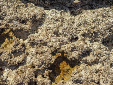 Deniz kıyısında taş dokusu