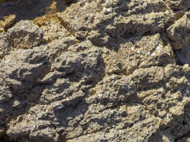 Deniz kıyısında taş dokusu