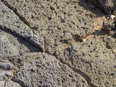 Deniz kıyısında taş dokusu