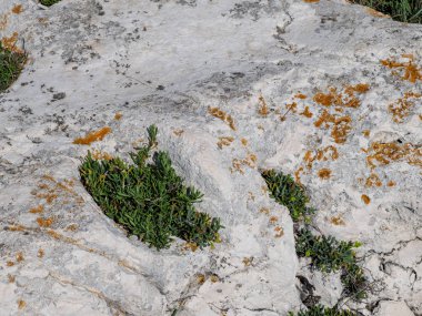 Deniz kıyısında taş dokusu