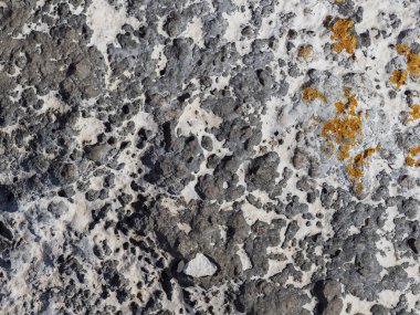 Deniz kıyısında taş dokusu