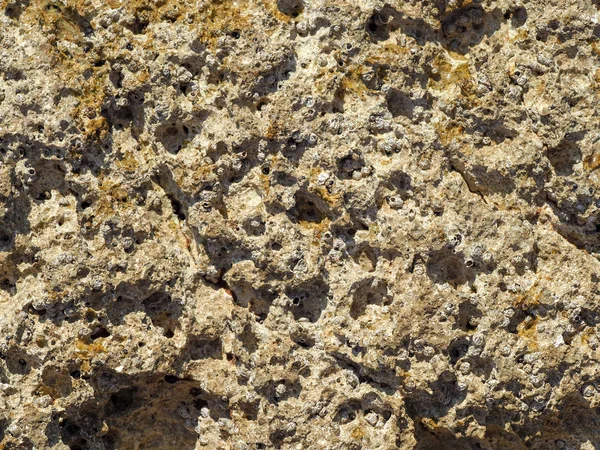 Deniz kıyısında taş dokusu