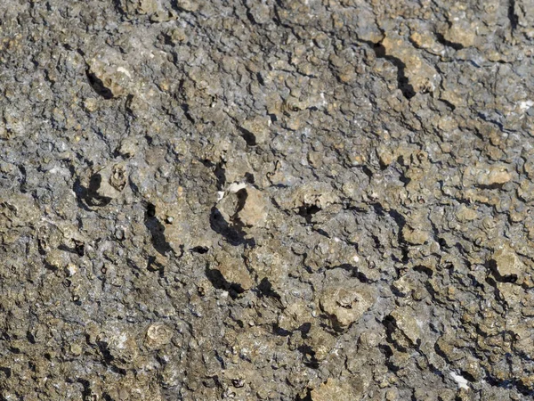 Deniz kıyısında taş dokusu