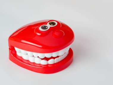 İnsan çenesinin anatomik modeli (bebek oyuncak)