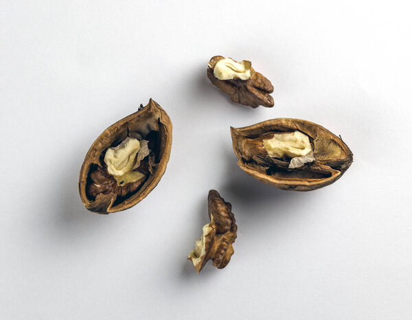 Walnut kernel with shell on a white background