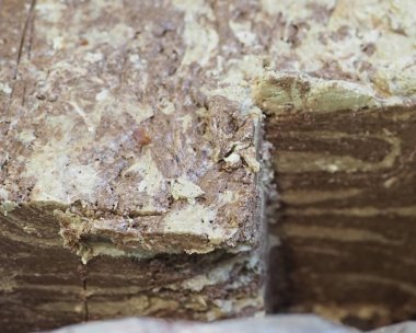 Doğulu tatlı ayçiçeği halkası