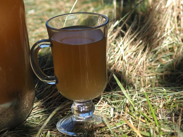 Bröd Kvass Med Malt Och Mynta Glasburk Upplyst Solen — Stockfoto