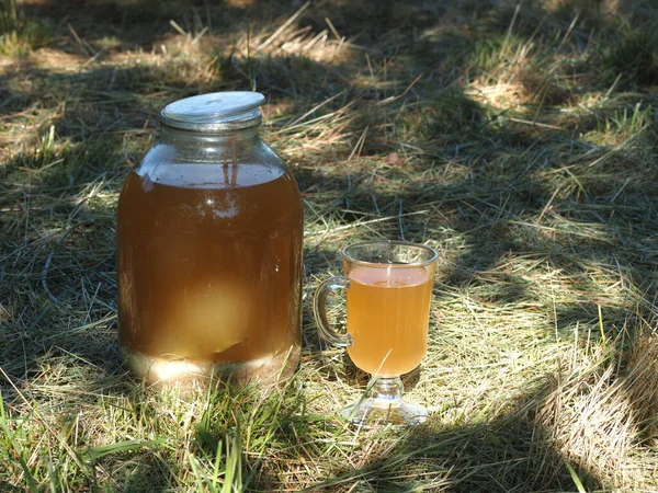 Bread Kvass Malt Mint Glass Jar Illuminated Sun — Stock Photo, Image