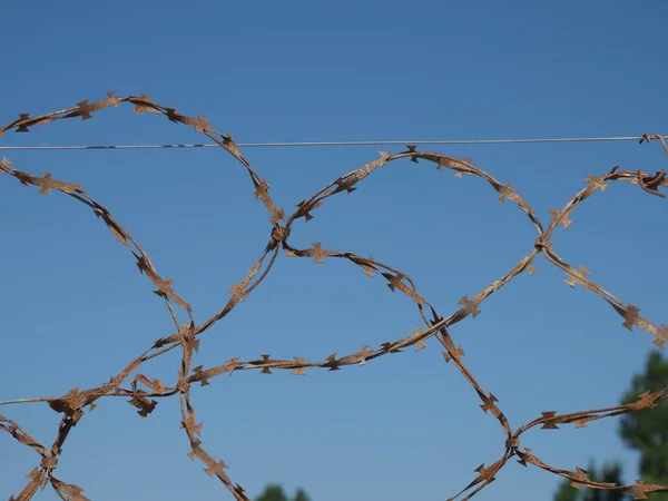 Rostig Taggtråd Bakgrund Blå Himmel — Stockfoto