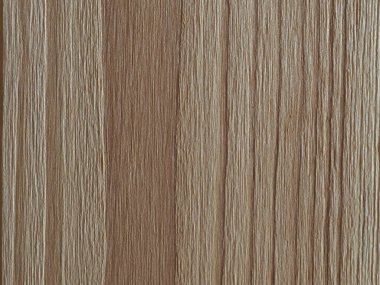 bir çam ağacının dokusu