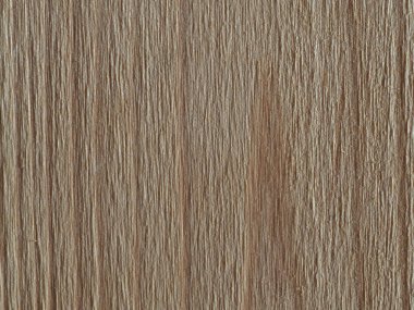 bir çam ağacının dokusu