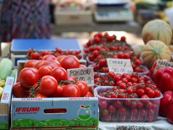 Tomates Agrícolas Maduros Tomates Cereja Páprica Vermelha Caixas Madeira Vendidas — Fotografia de Stock