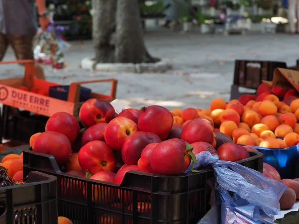 Croácia Medulin Julho 2019 Frutas Legumes Maduros Balcão Uma Feira — Fotografia de Stock