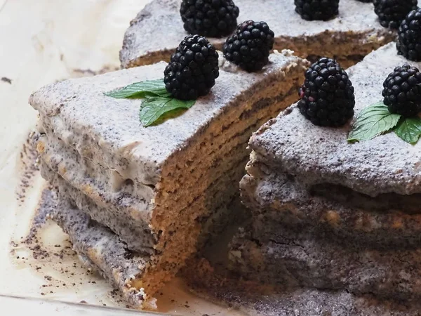 homemade cake with poppy seed filling of wholemeal flour and decorated with blackberries