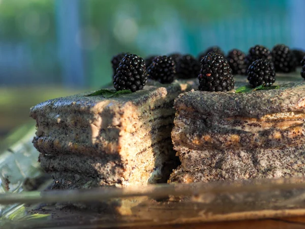 Ev yapımı haşhaş tohumu ile doldurulmuş un ve böğürtlenlerle süslenmiş kek.