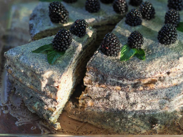 Hausgemachter Kuchen Mit Mohnfüllung Aus Vollkornmehl Und Mit Brombeeren Dekoriert — Stockfoto